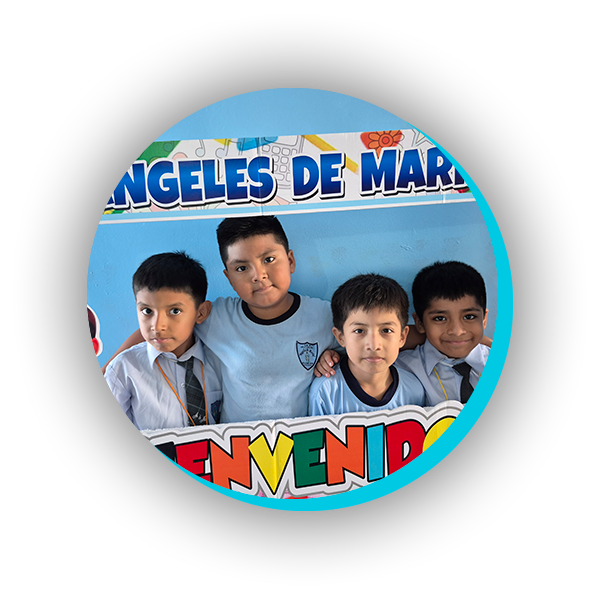 Misión